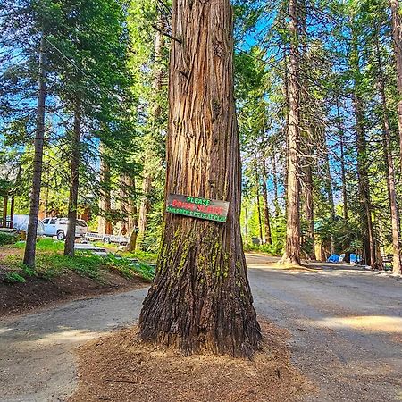 Water'S Edge Retreat Villa Shaver Lake Bagian luar foto