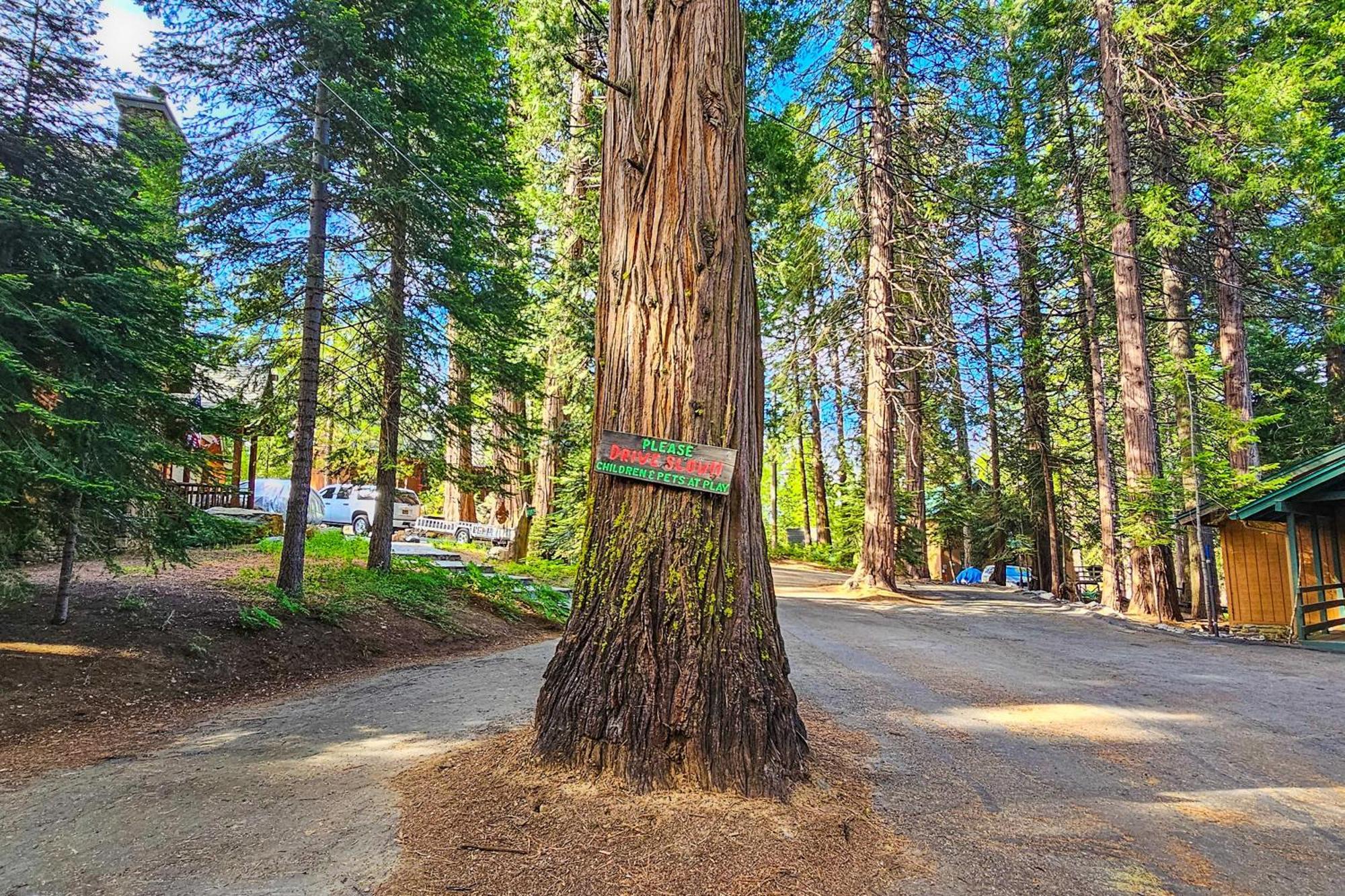 Water'S Edge Retreat Villa Shaver Lake Bagian luar foto
